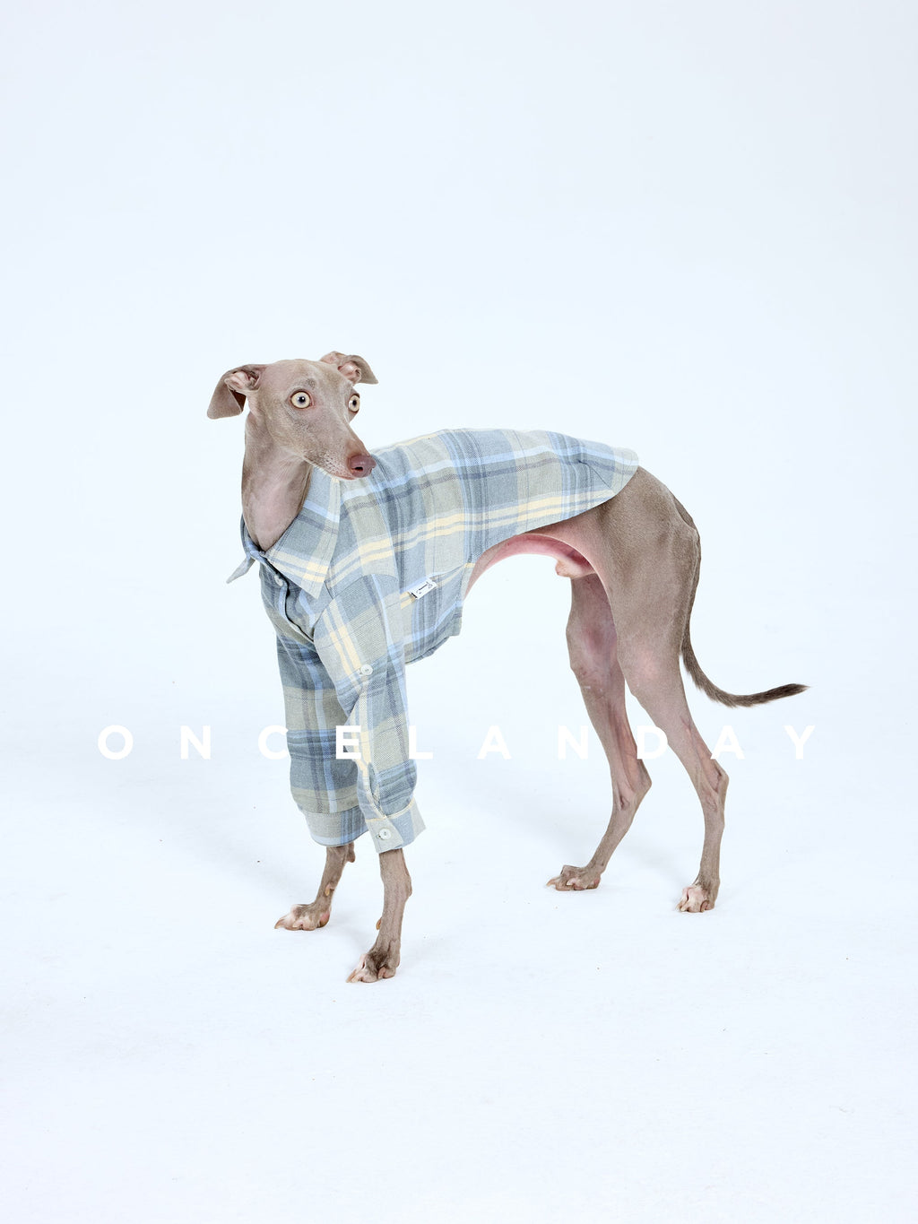 Cotton Plaid Dog Shirt