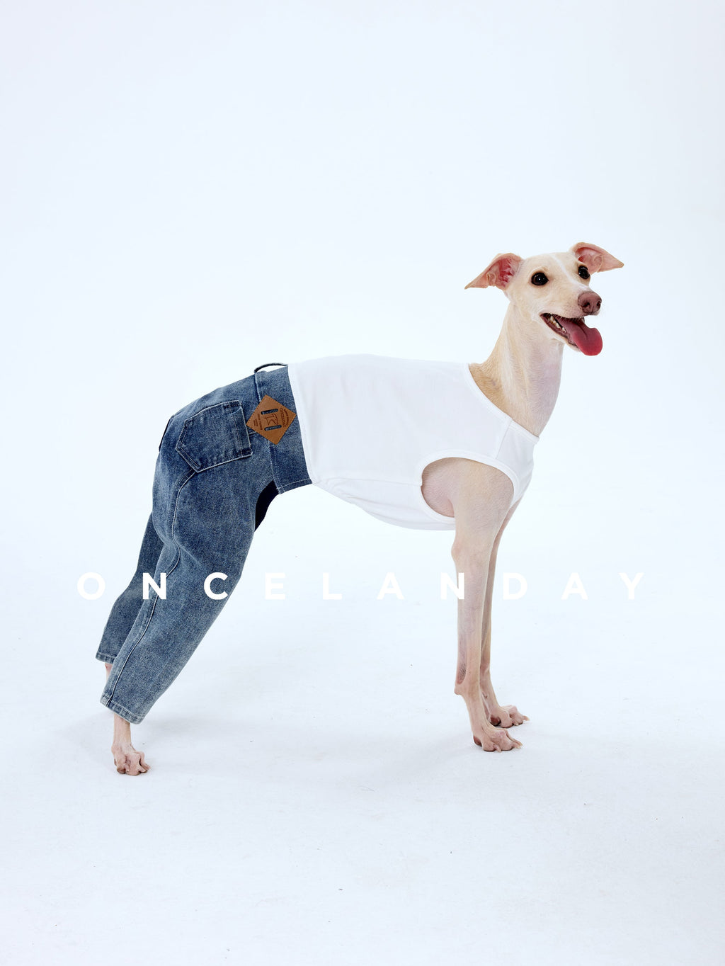Denim Dog Jeans