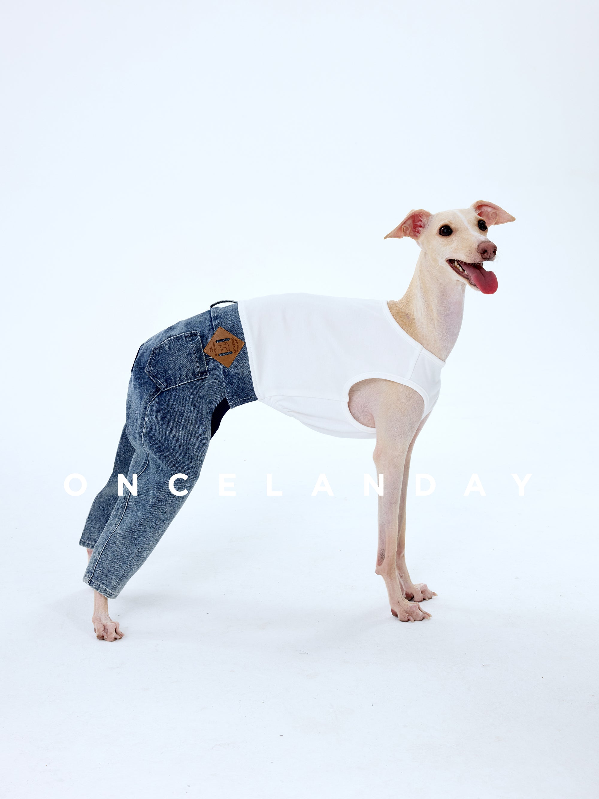 Denim Dog Jeans