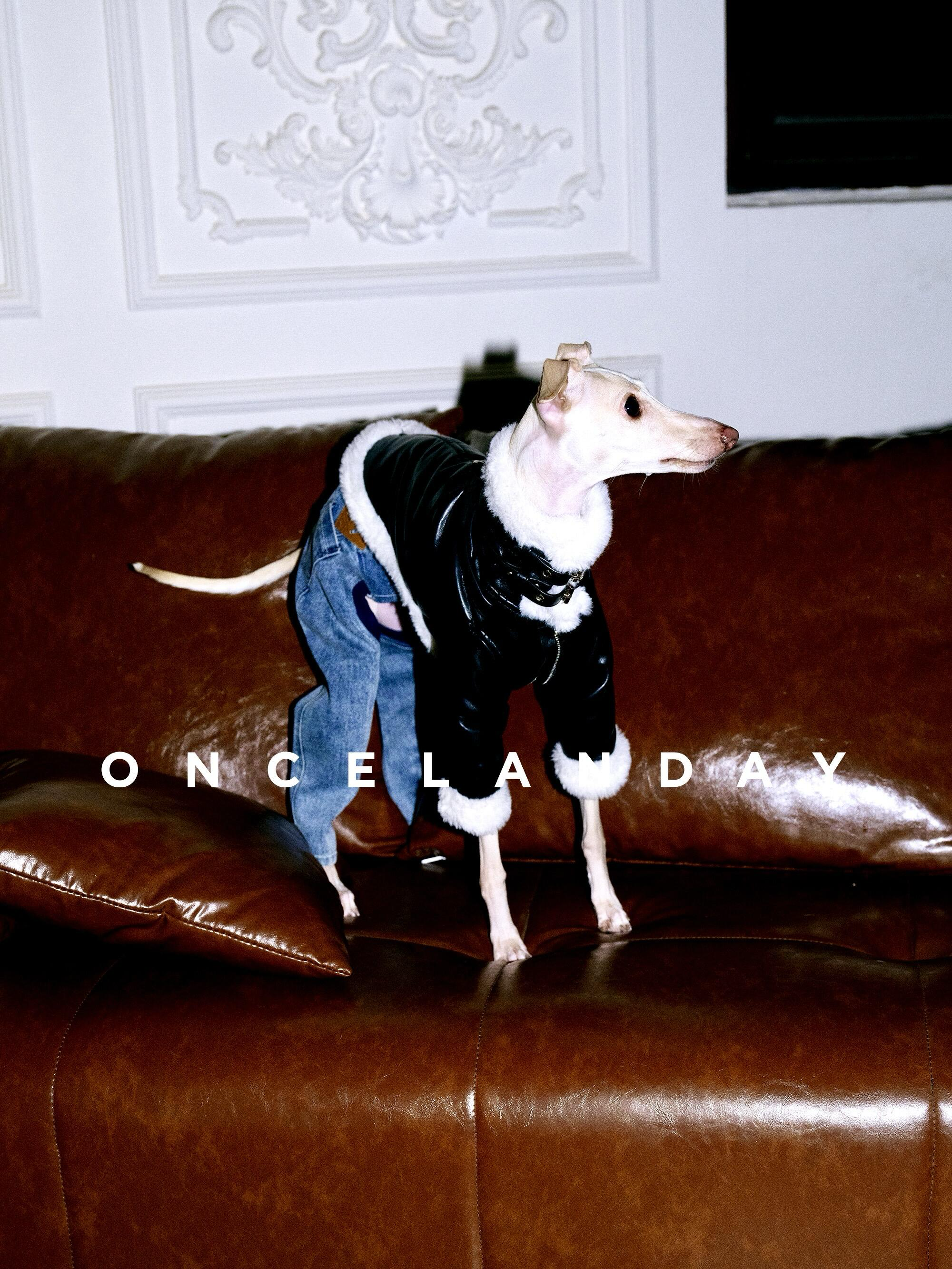 Leather Dog Jacket