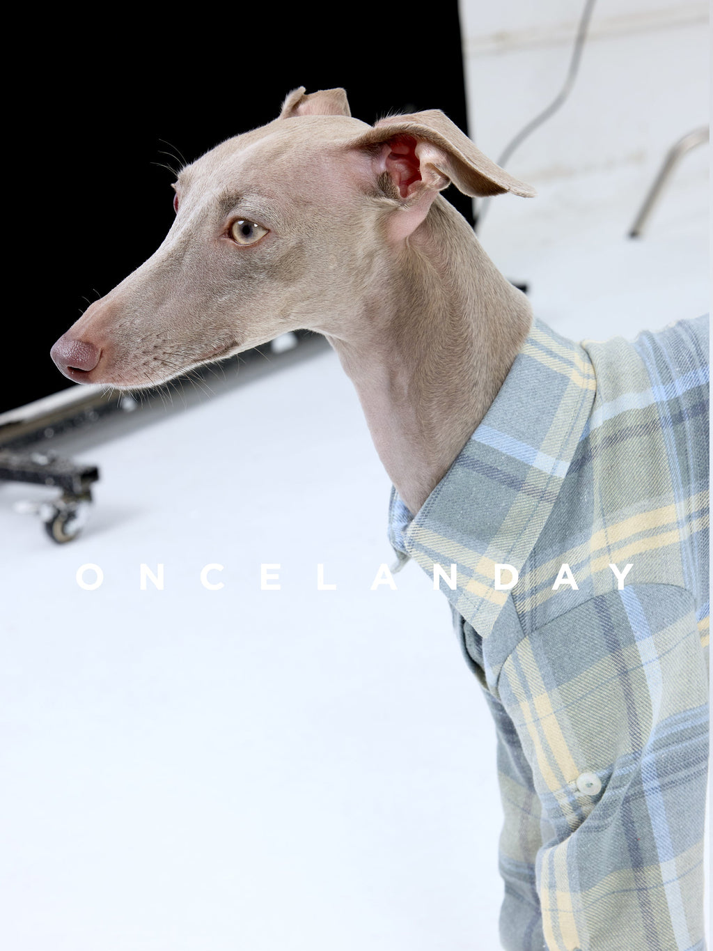 Cotton Plaid Dog Shirt
