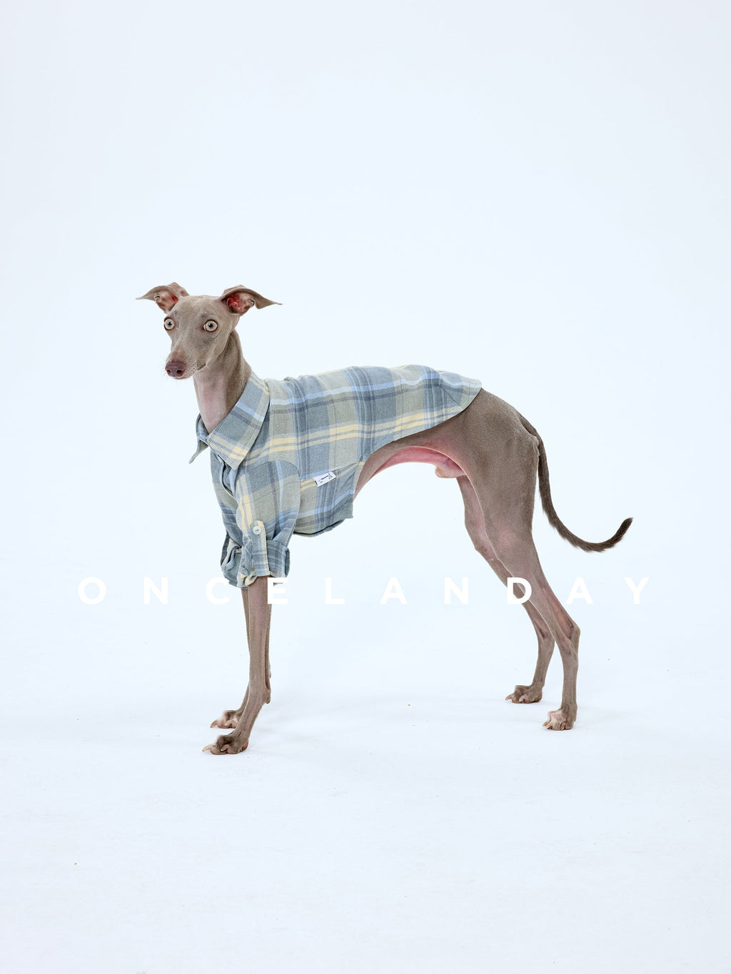 Cotton Plaid Dog Shirt