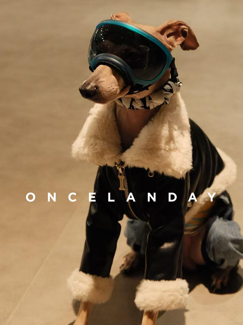 Leather Dog Jacket