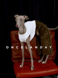 Cotton Dog Pants