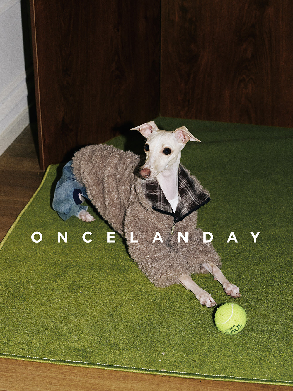 Shearling Dog Jacket