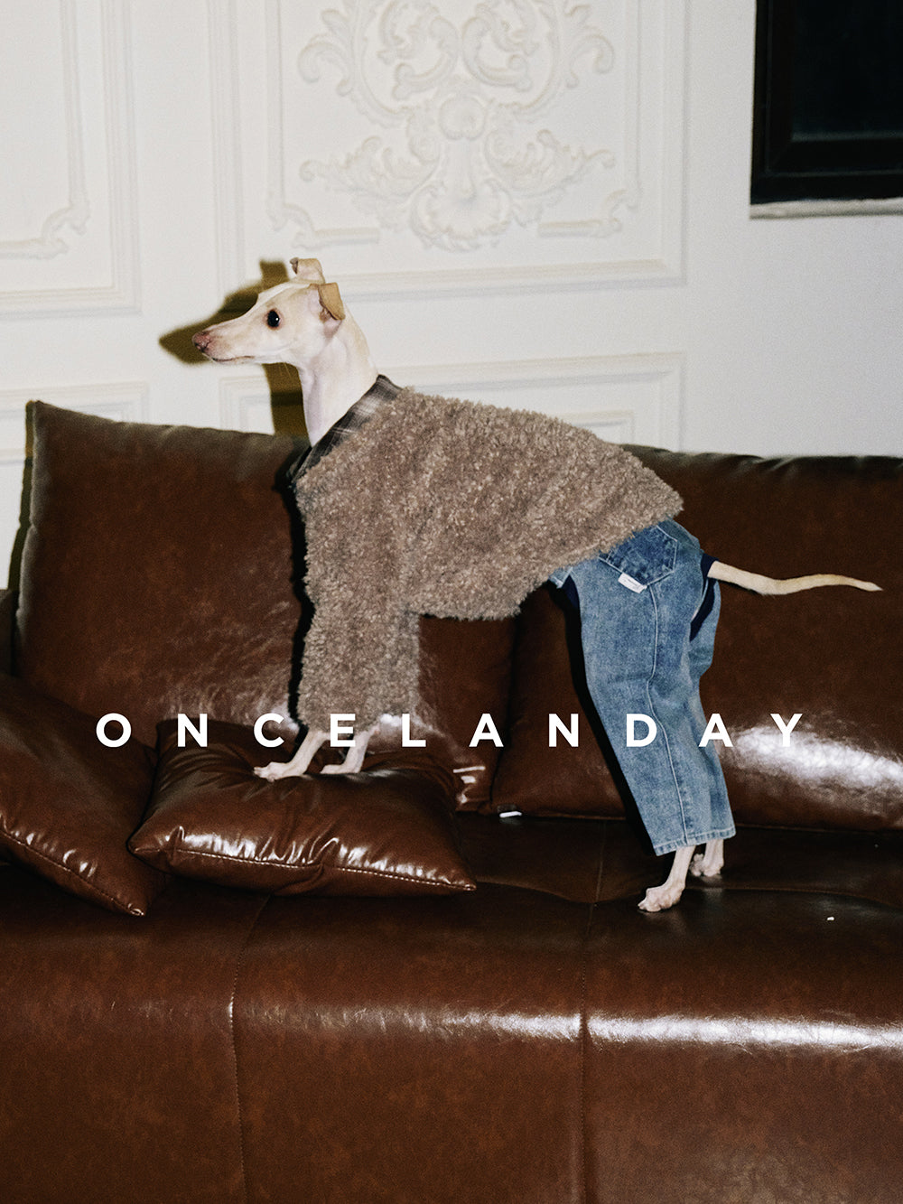 Shearling Dog Jacket