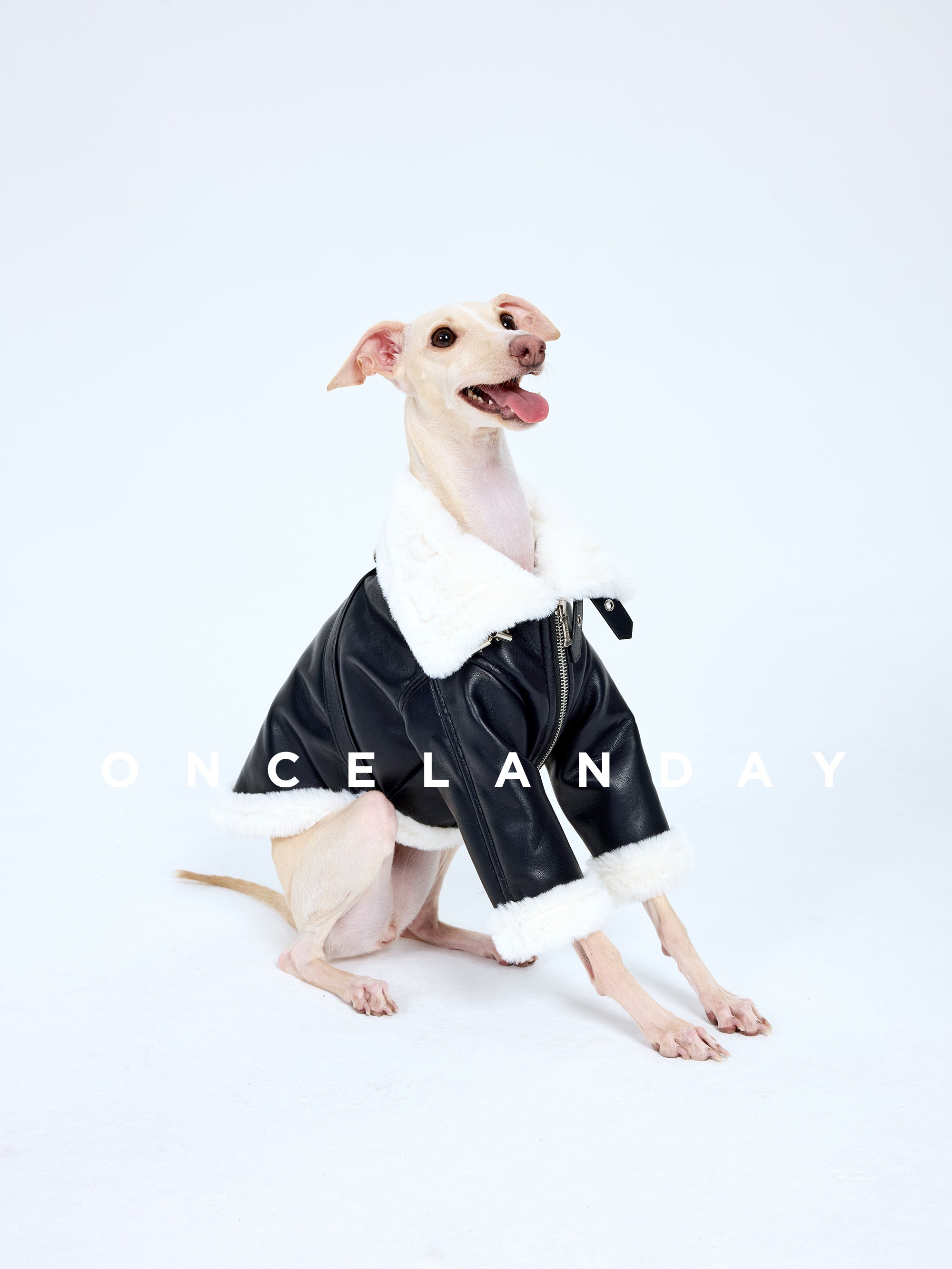 Leather Dog Jacket