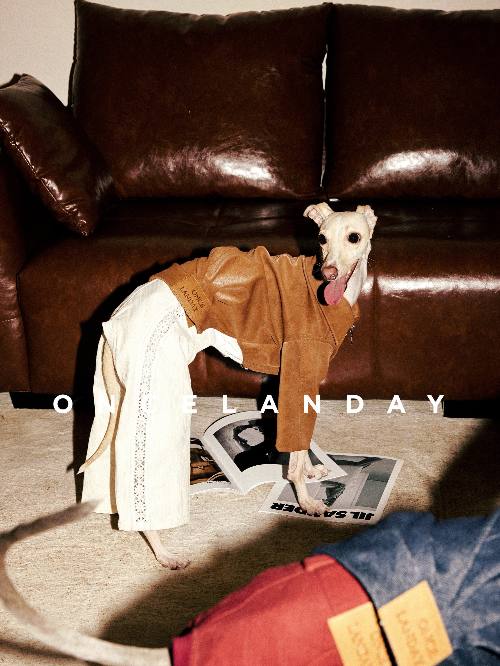 Suede Dog Jacket