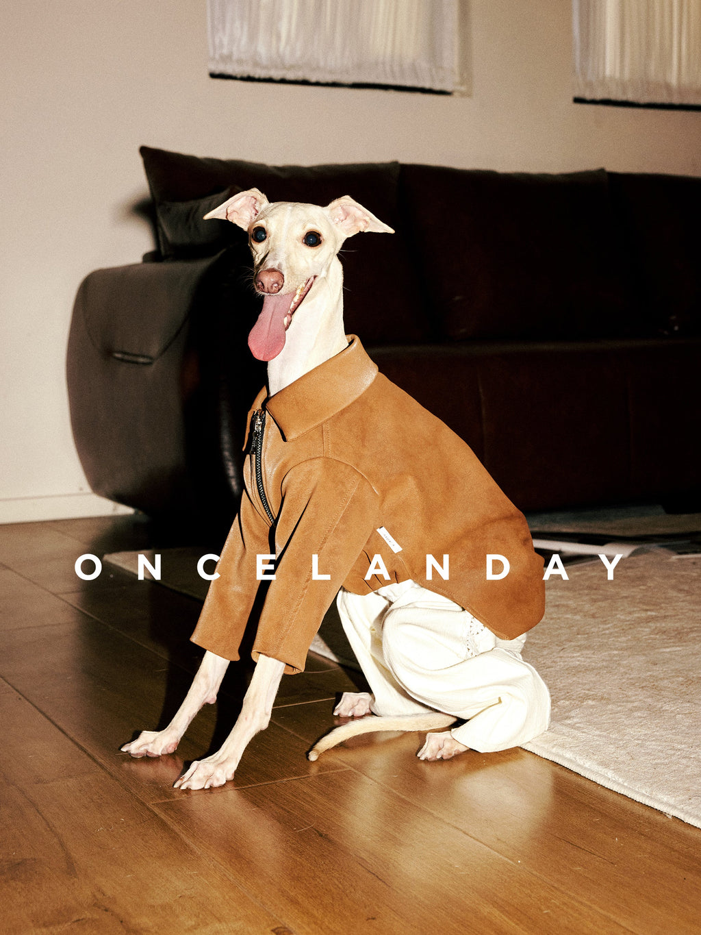 Suede Dog Jacket