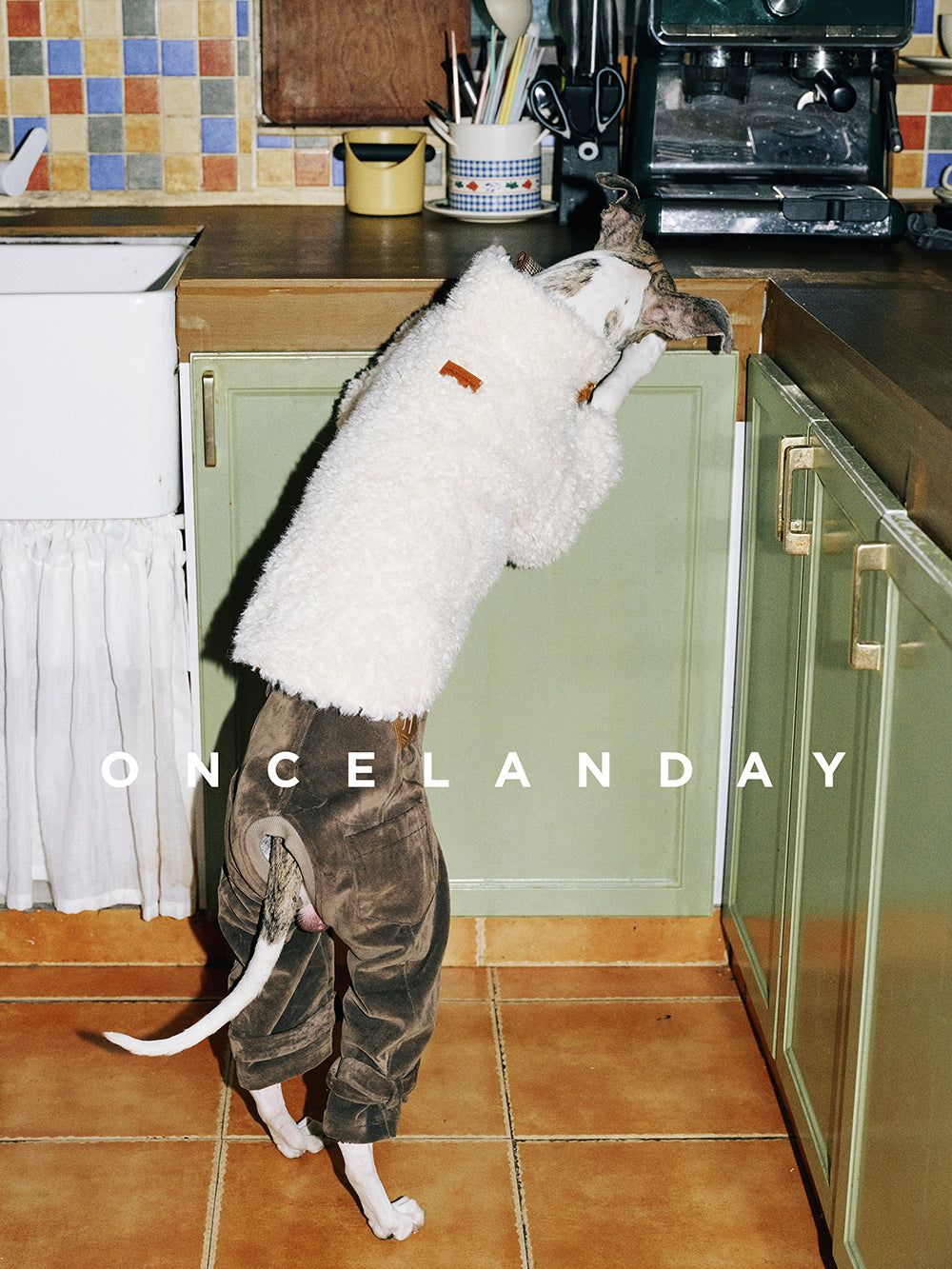 White Lamb Fleece Winter Dog Jacket