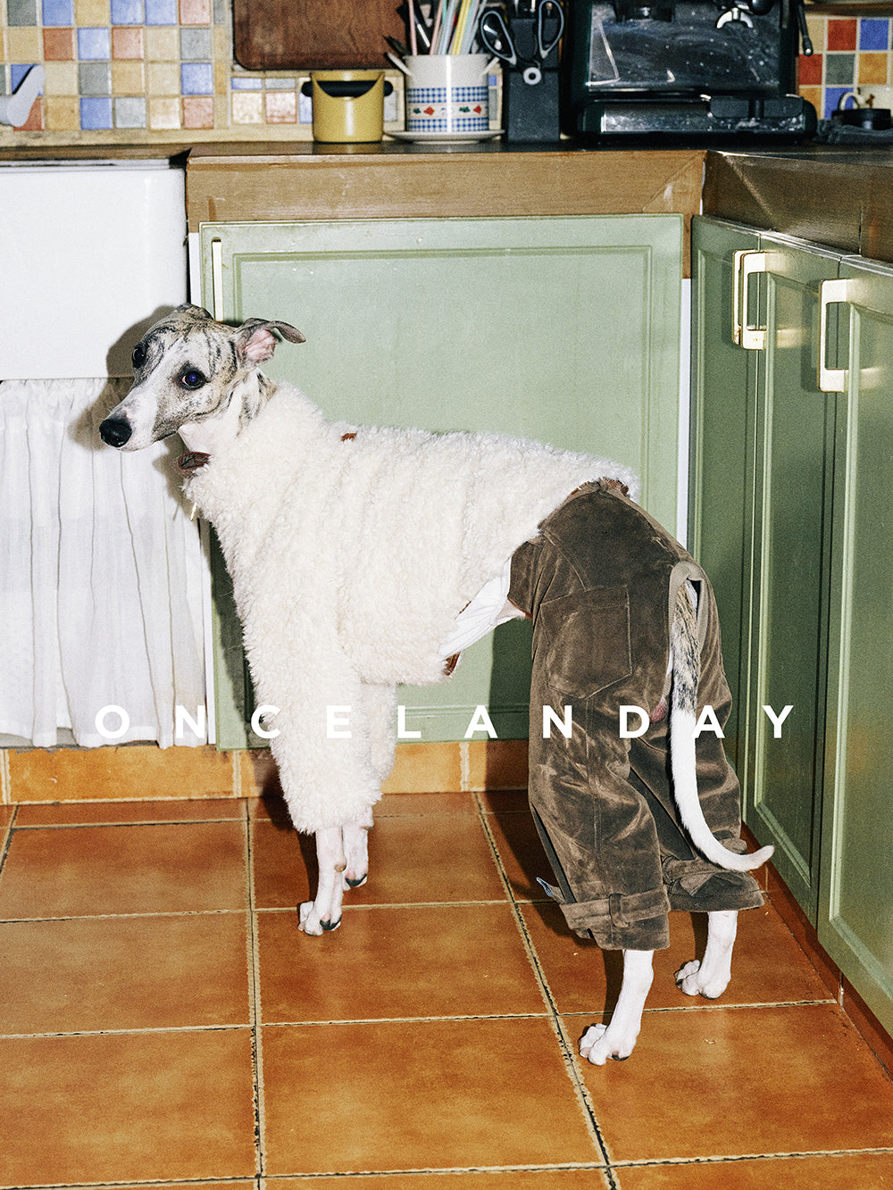 White Lamb Fleece Winter Dog Jacket
