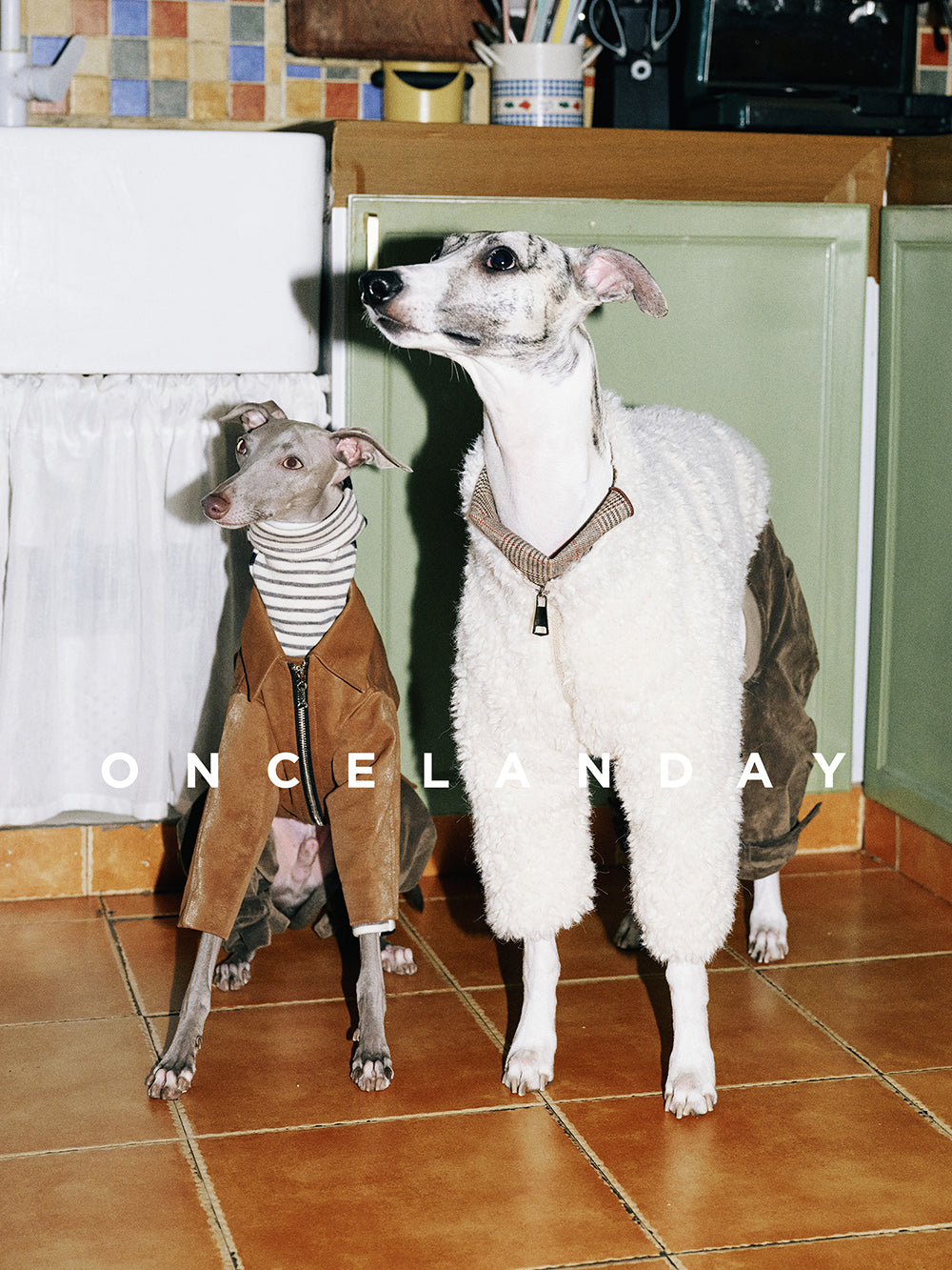 White Lamb Fleece Winter Dog Jacket