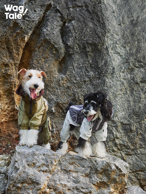 All-Weather Outdoor Waterproof Dog Windbreaker