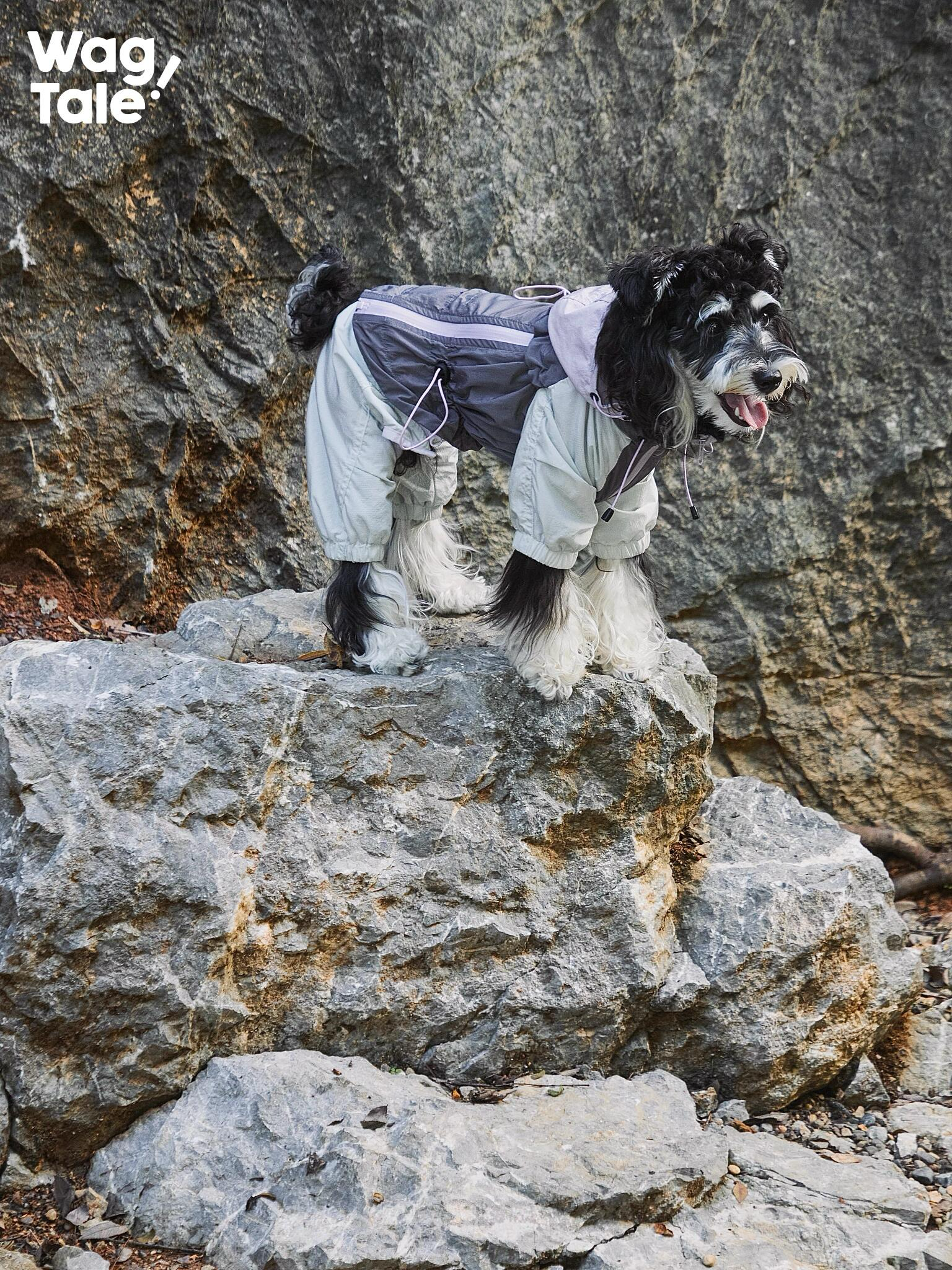 All-Weather Outdoor Waterproof Dog Windbreaker