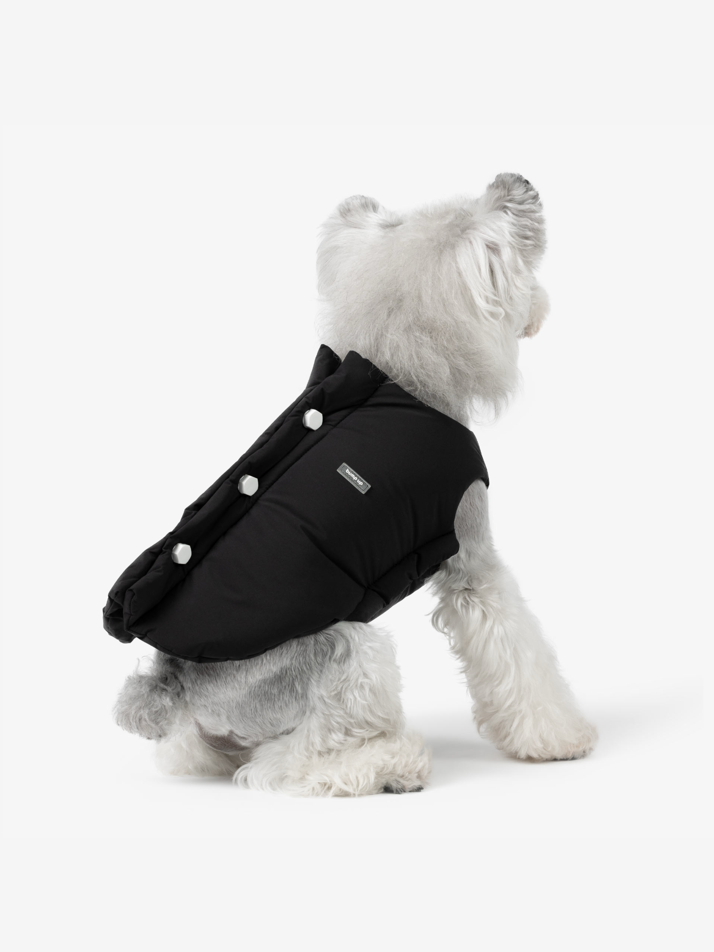Bolts Dog Vest