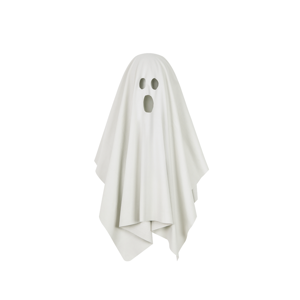 Ghost Dog Quick Dry Towel