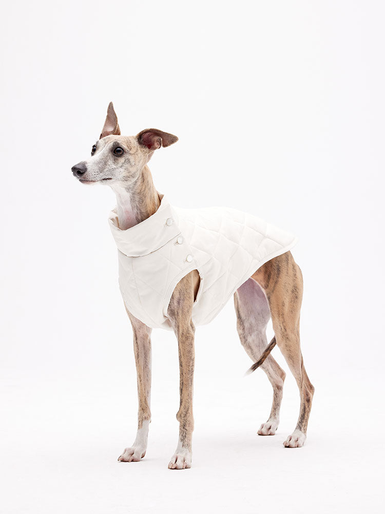 Quilted Dog Vest