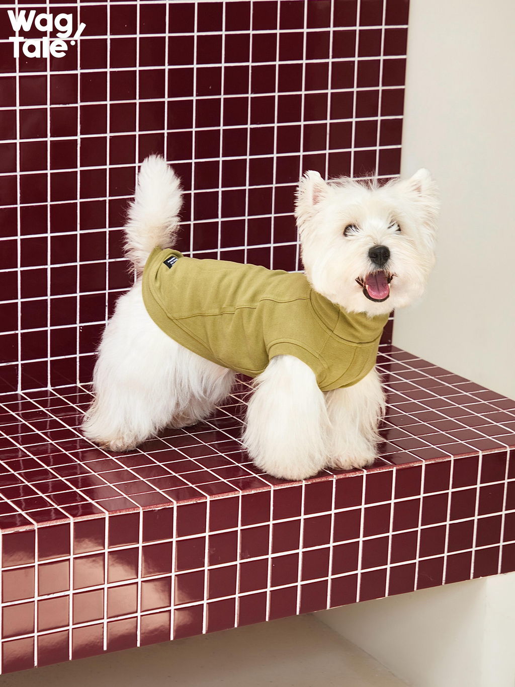 Stretch High Neck Dog Jumper