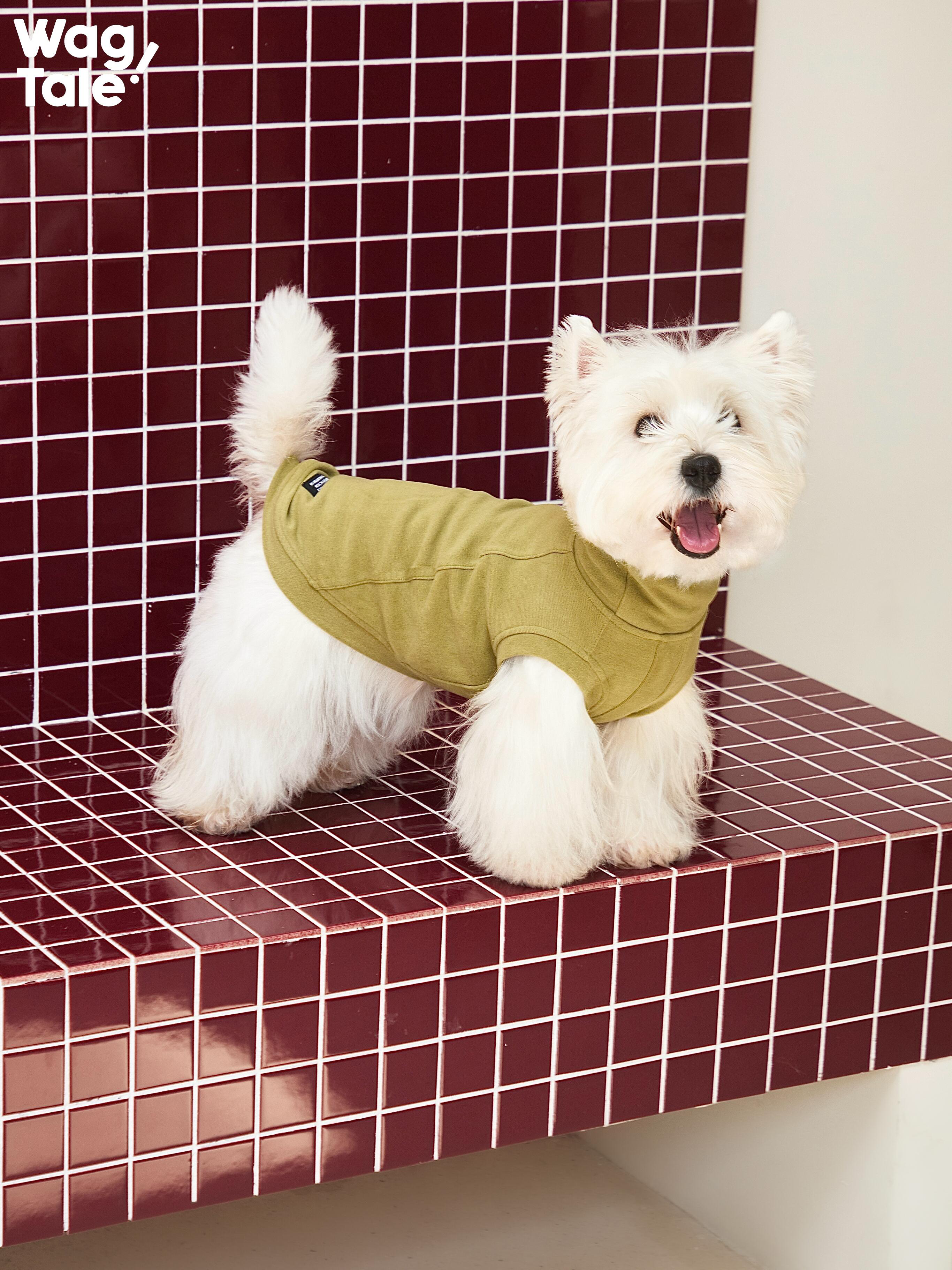 Stretch High Neck Dog Jumper
