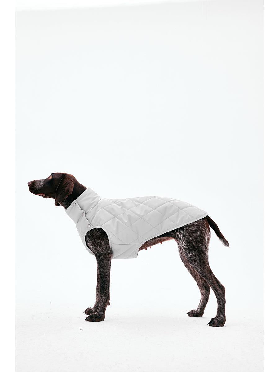 Quilted Dog Vest