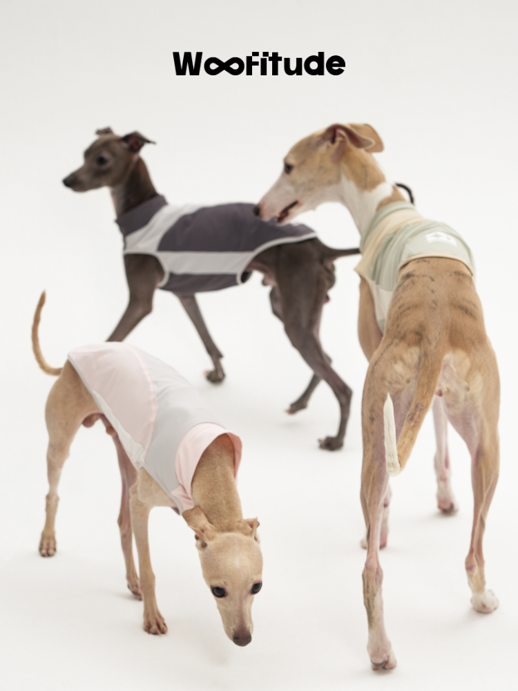 UV-Protective Dog Vest
