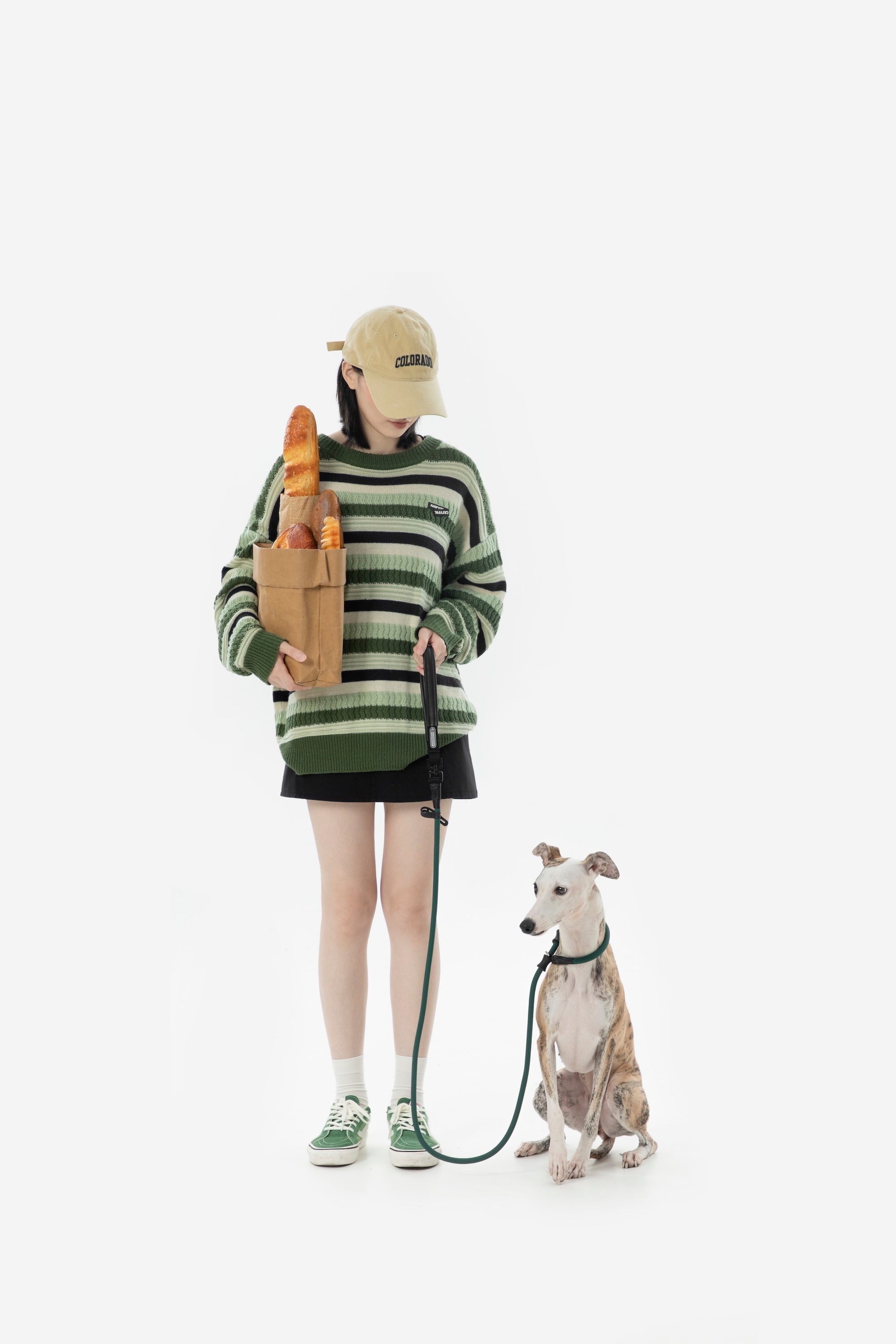 Leather Handle Dog Slip Leash