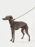 Leather Handle Dog Slip Leash