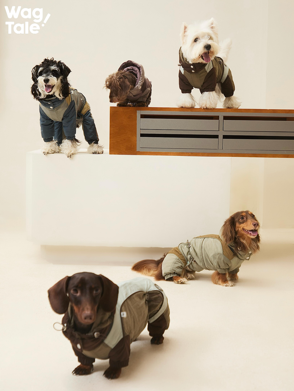 Insulated Dog Outdoor Suit For Cold Weather