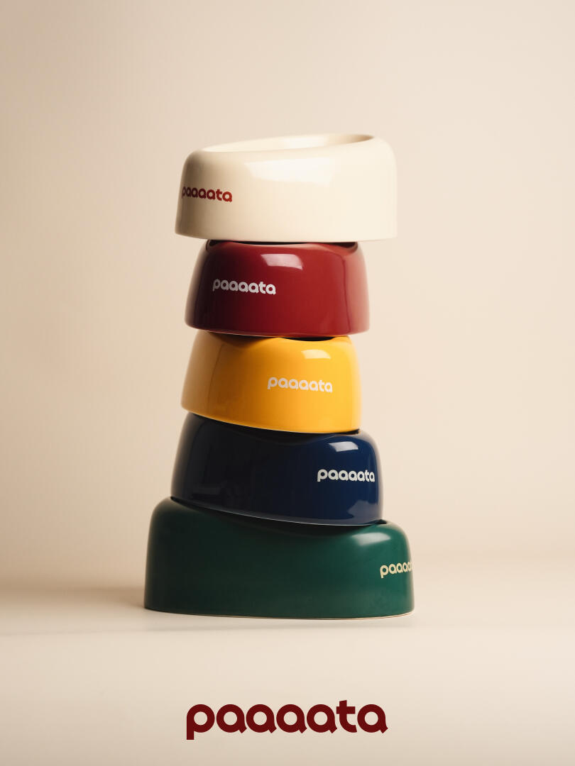 Signature Ceramic Slanted Pet Bowl