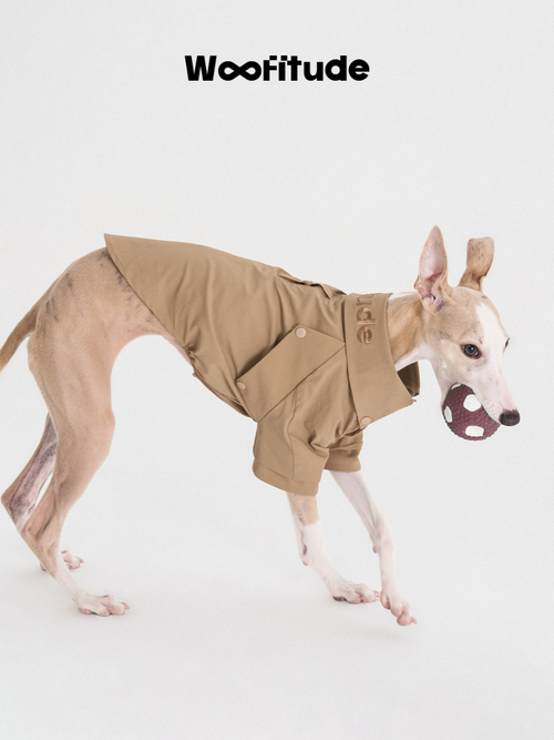 Breathable Dog Shirt