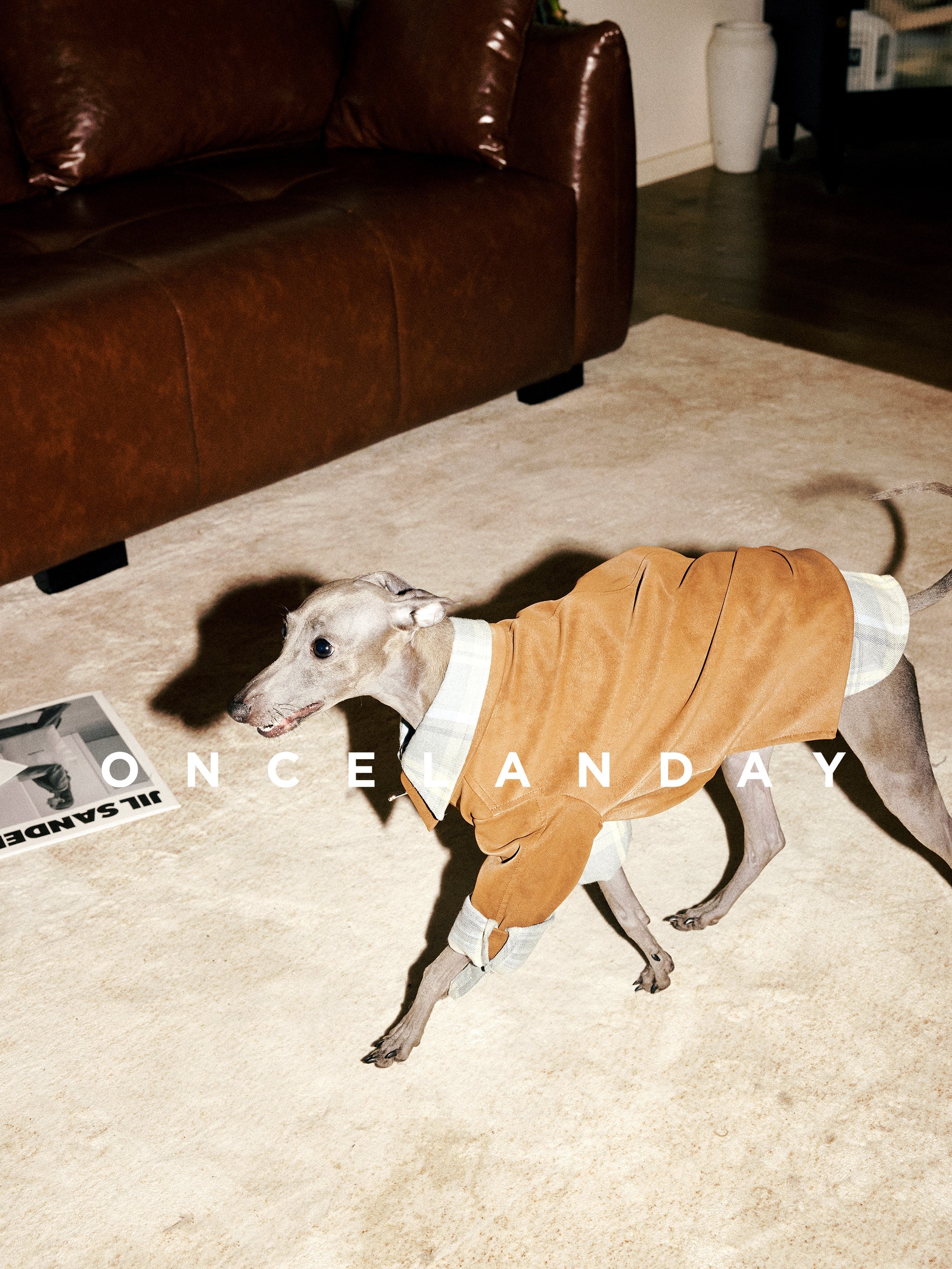 Suede Dog Jacket