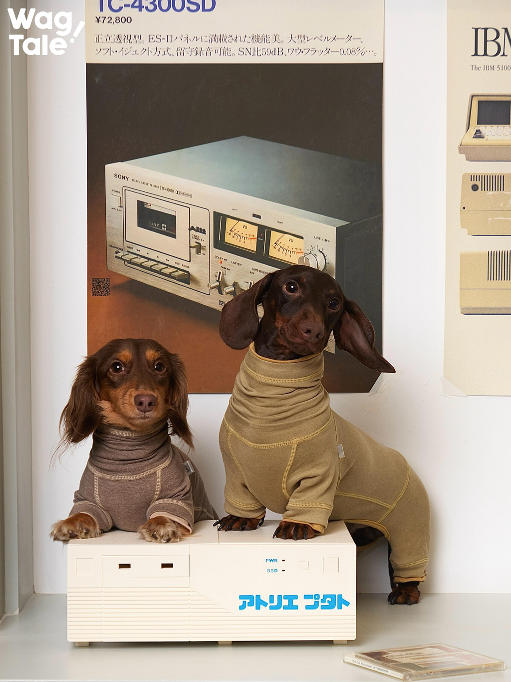 Anti-Static Thermal Dachshund Suit
