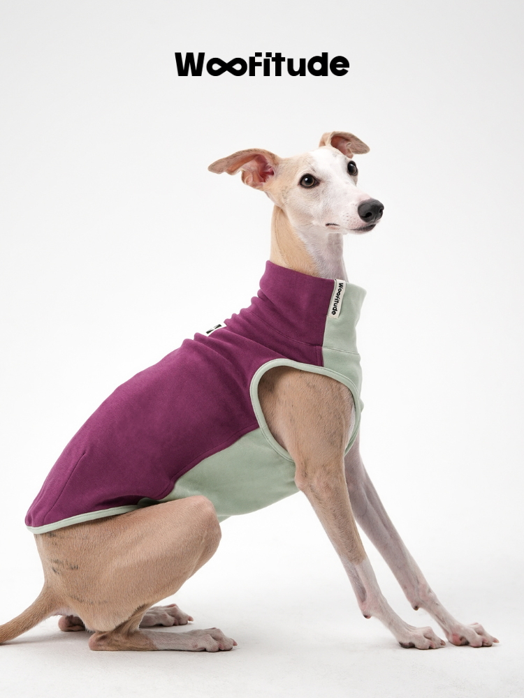 Ginger-Infused Tencel™ Dog Vest