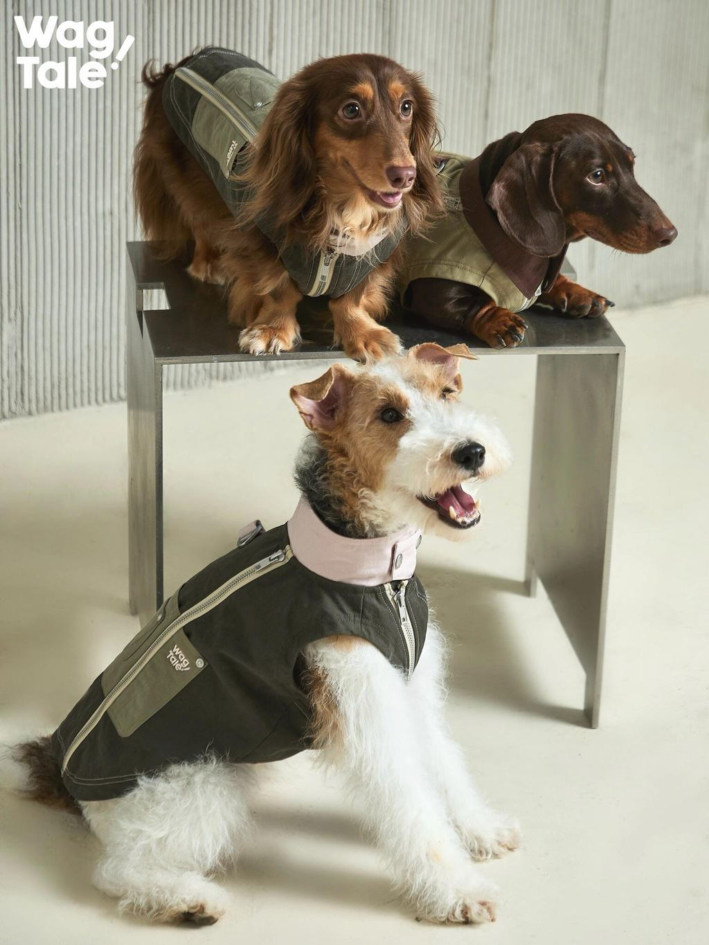 Utility Urban Outdoor Dog Vest