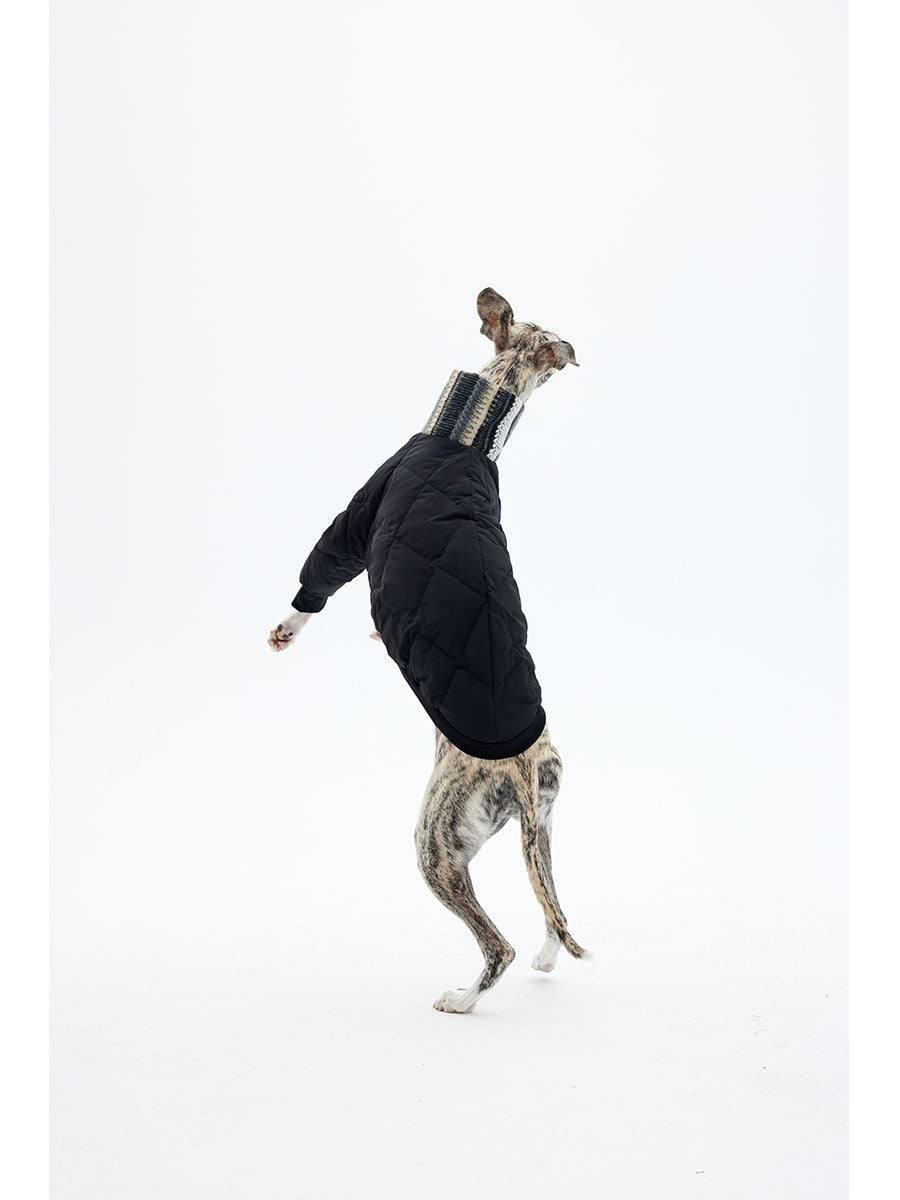 Vista Winter Dog Down Jacket