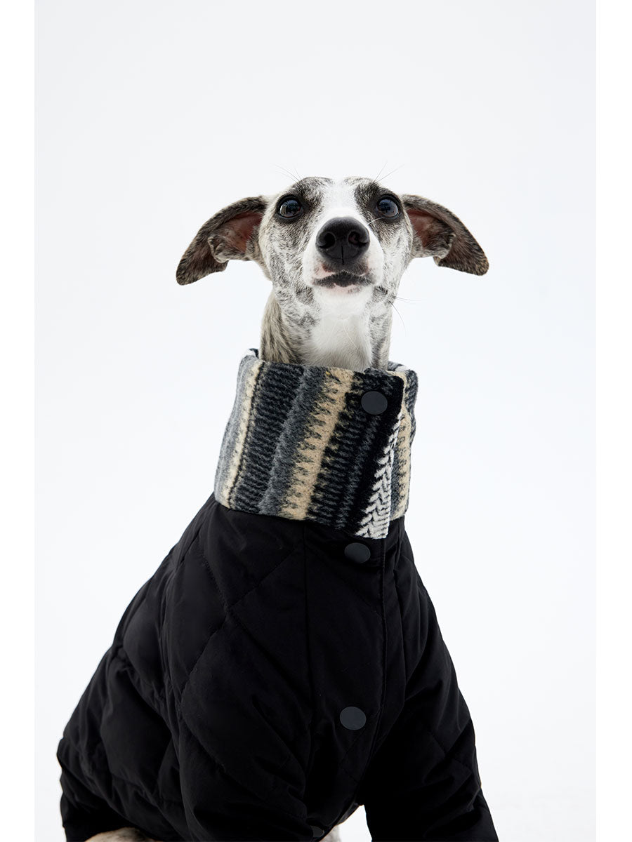 Vista Winter Dog Down Jacket