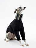 Vista Winter Dog Down Jacket