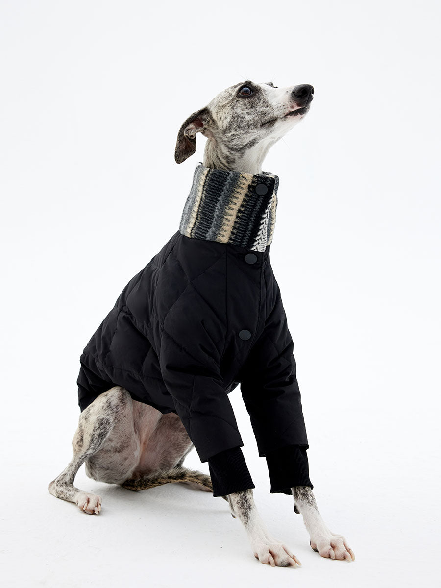 Vista Winter Dog Down Jacket