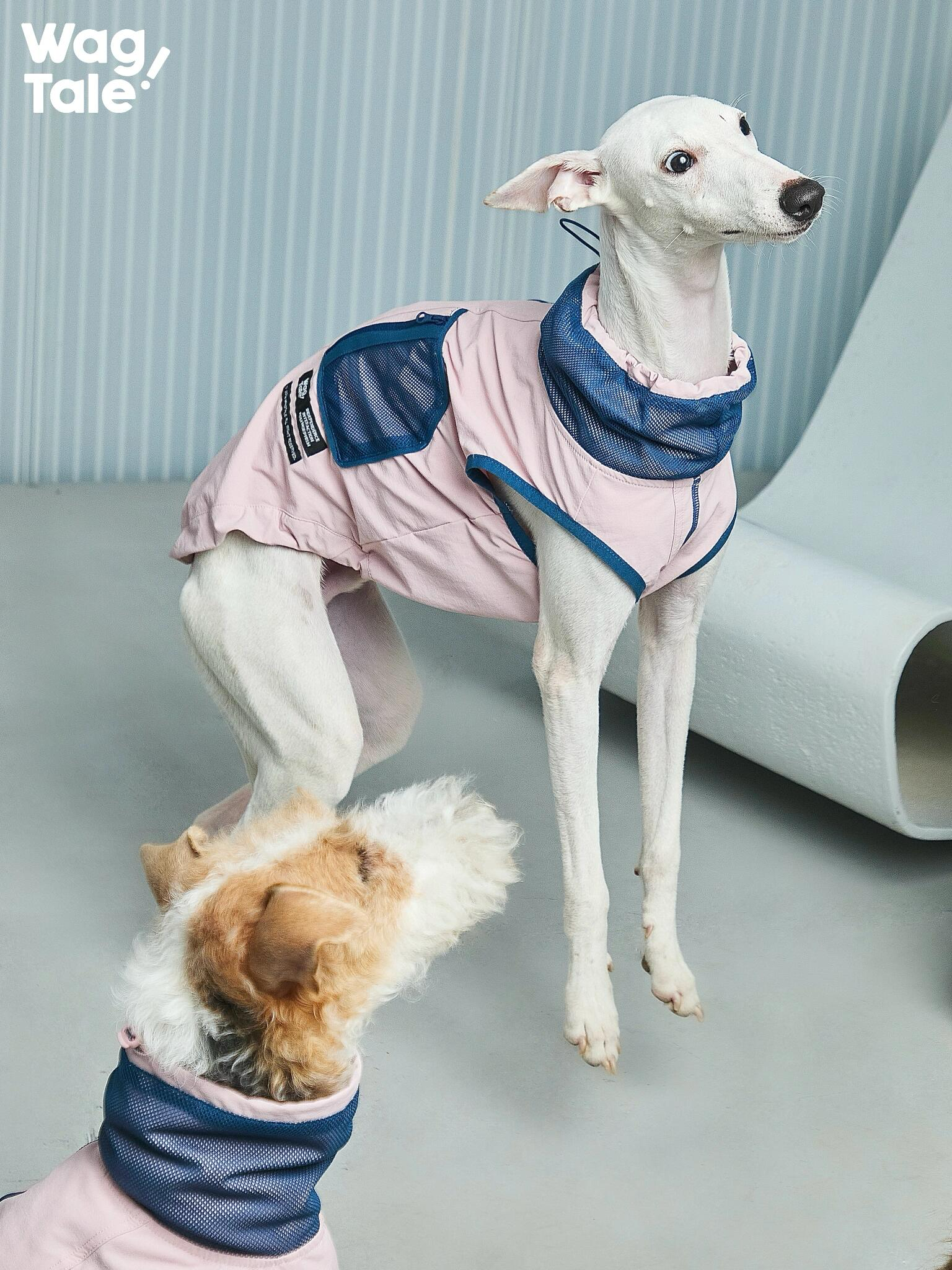 Waterproof Outdoor Adventure Dog Utility Vest