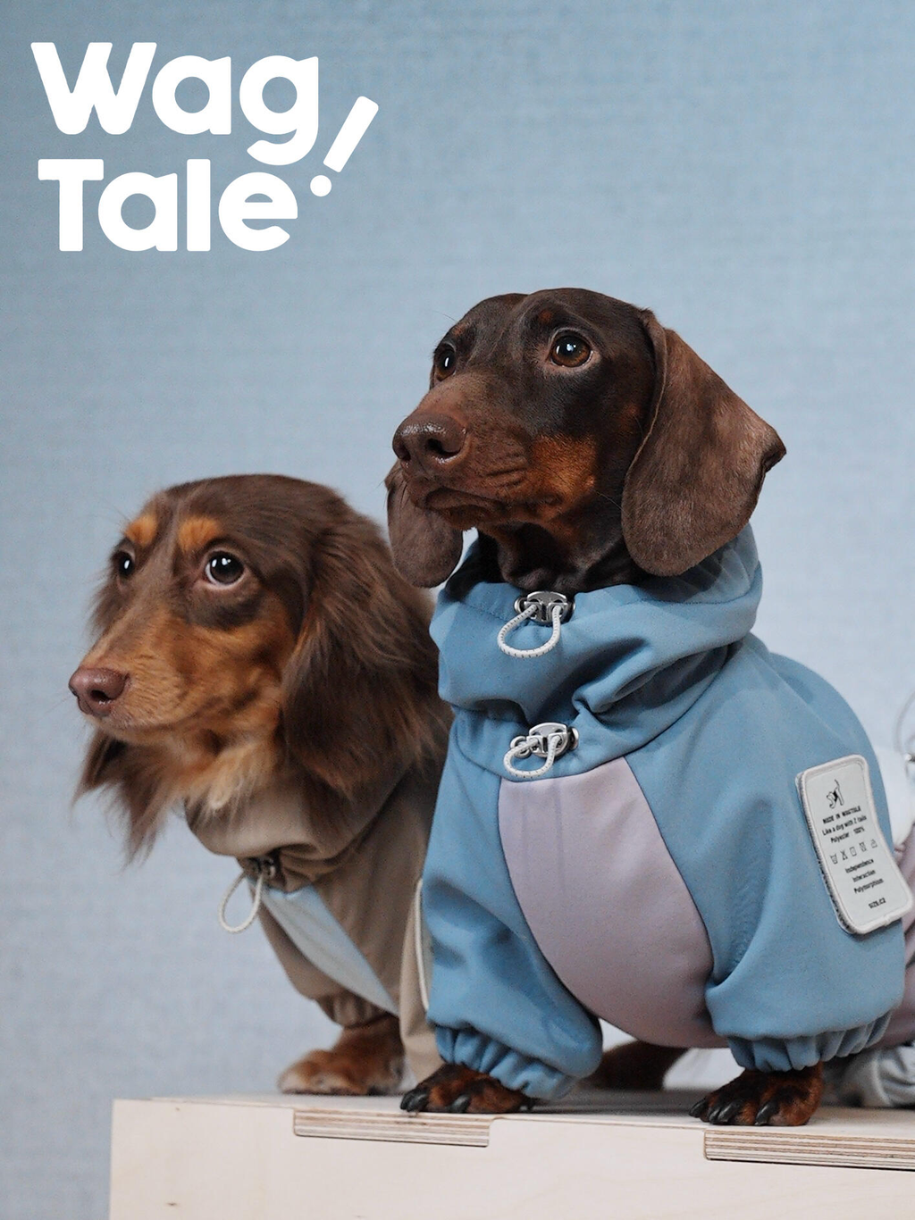 Adjustable Dog Windbreaker Jacket