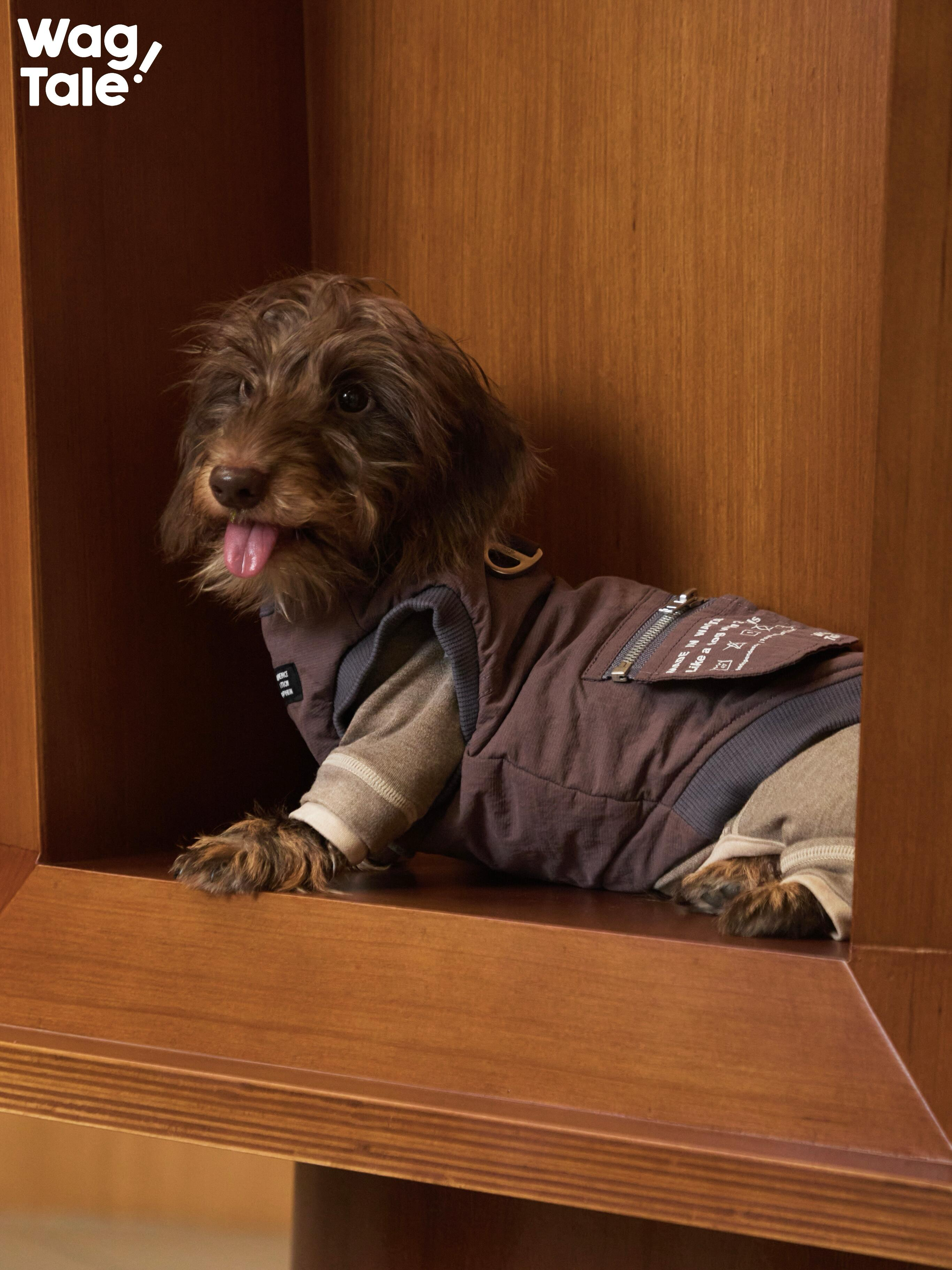 Insulated Dog Vest with Leash Ring