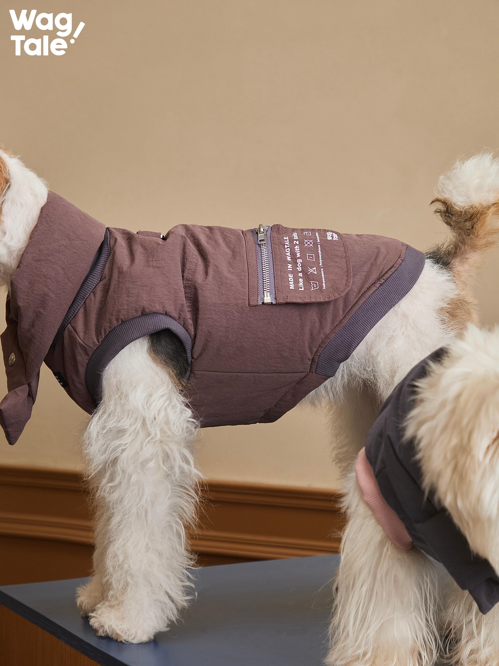 Insulated Dog Vest with Leash Ring