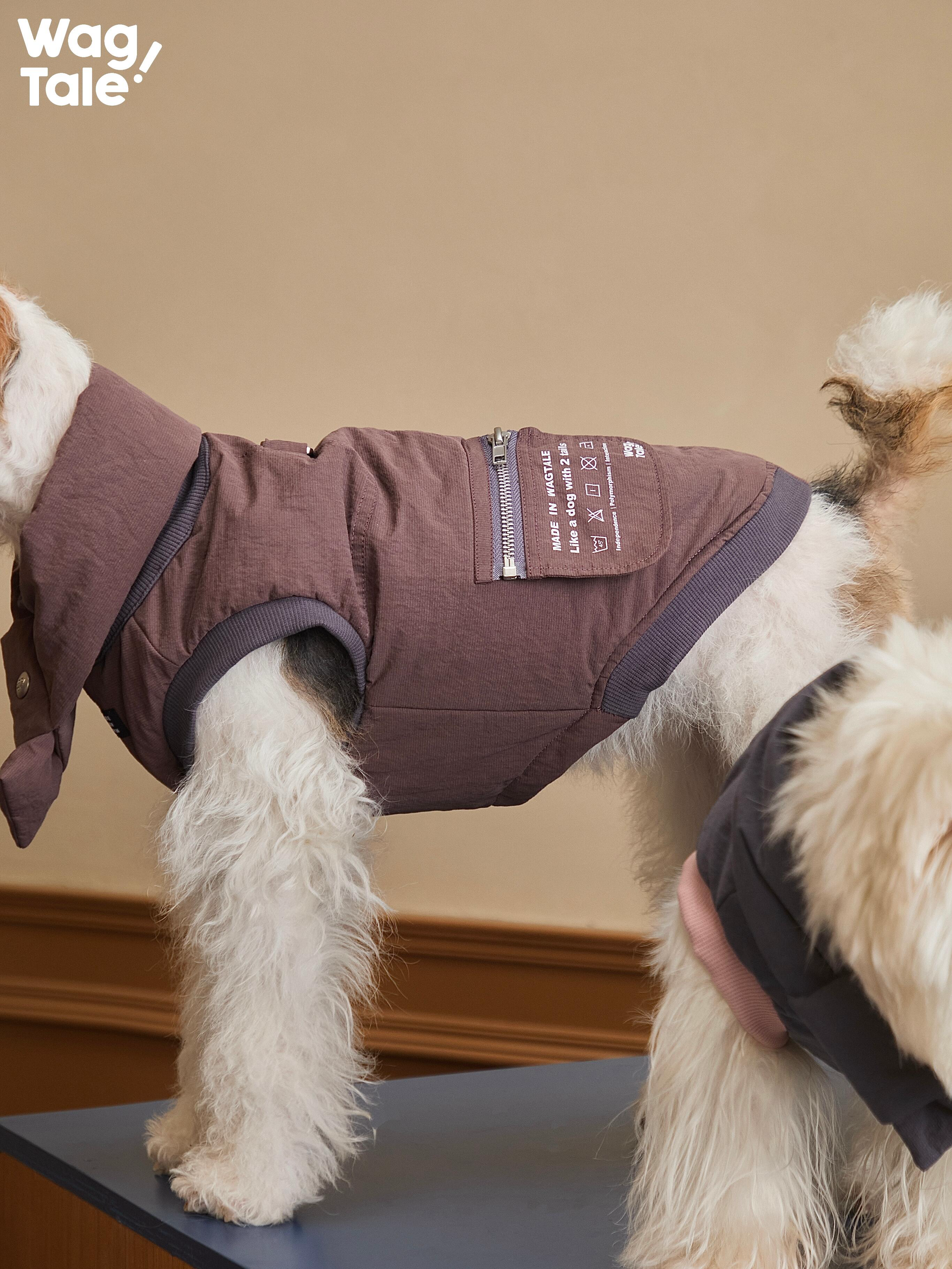 Insulated Dog Vest with Leash Ring