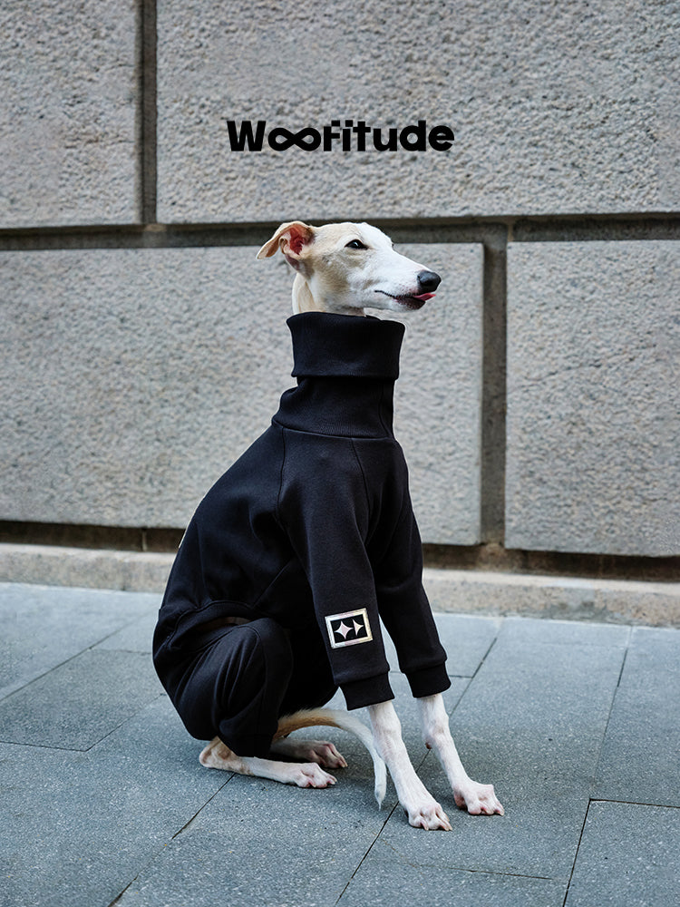 High Neck Dog Suit
