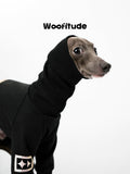 High Neck Dog Suit