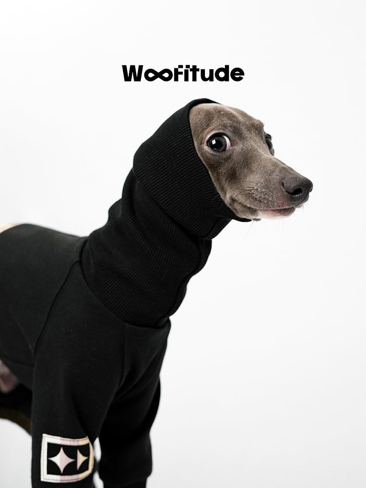 High Neck Dog Suit