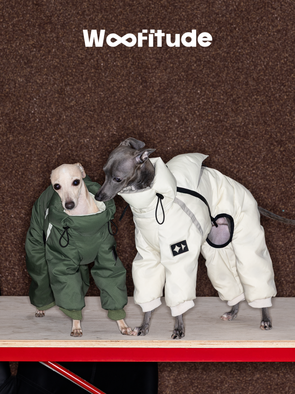 Dog Down Suit