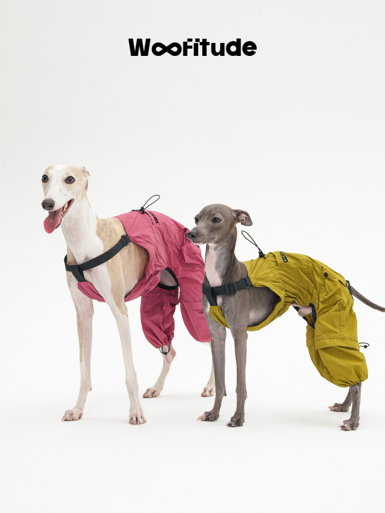 UV-Protective Dog Overall