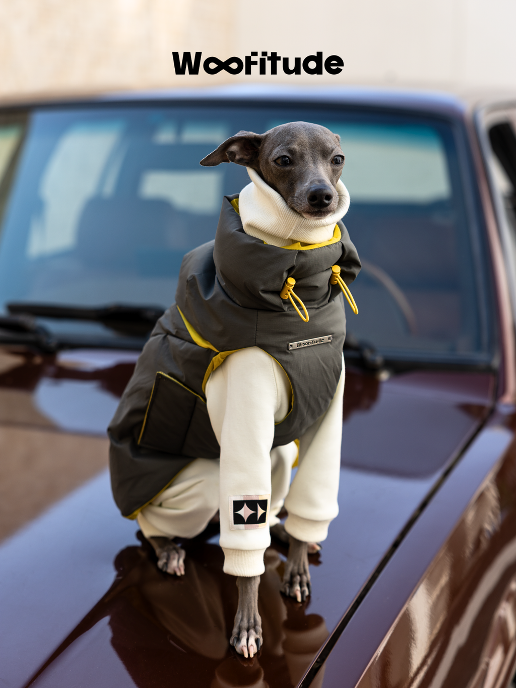 Dog Puffer Vest
