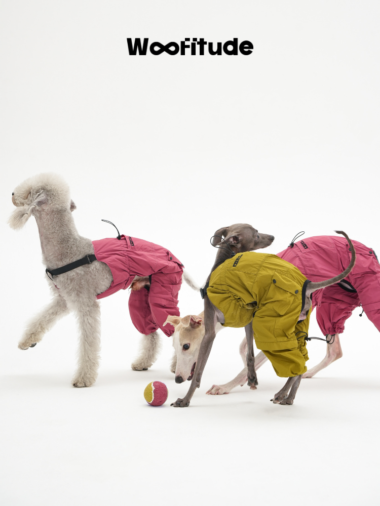 UV-Protective Dog Overall